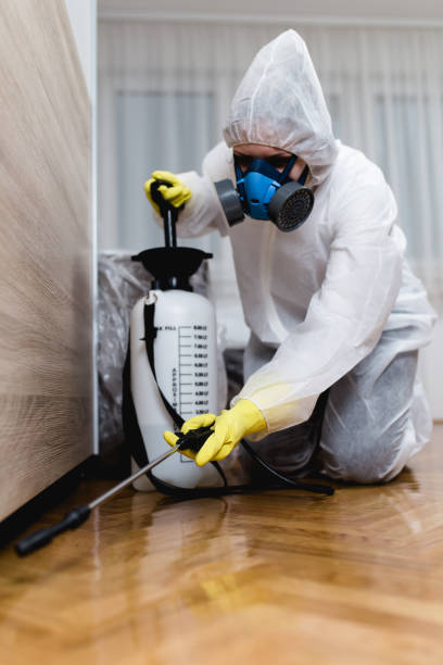 Best Termite Inspection and Treatment  in Wrens, GA